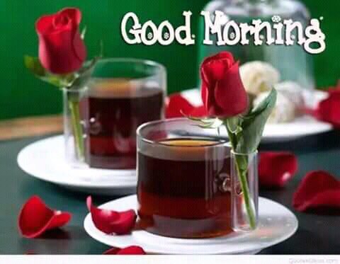 Good Morning Friends