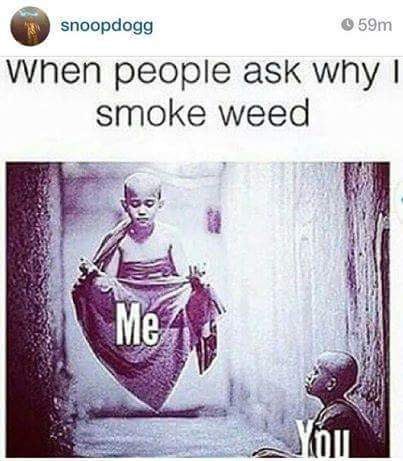 PIPEITUP_420's tweet photo. FACTS💯😌😂 #weed #marijuana #trichomes #cookies #420 #haze #kush #igers #hazeporn #thc #hightimes #stoner #indica #sativa #187 #cannabis #lifestyle #motivation #weedporn #amazing #weedgram #awesome #budporn #picoftheday #hashporn #instagood #psicodelicavibe #psychedelic https://t.co/zSyS6dCit0