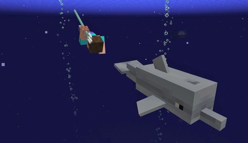 MinecraftCRT's tweet image. Here are some of the coolest things the next #Minecraft update called &quot;Aquatic Update&quot; will add:

- Coral
- Pufferfish
- Clownfish
- Salmon
- &quot;Tropical fish&quot;
- Shipwrecks
- Dolphins!
- &quot;The Monster Of The Night Skies&quot; (it&apos;s still a mystery)

Who&apos;s excited?! 🐬