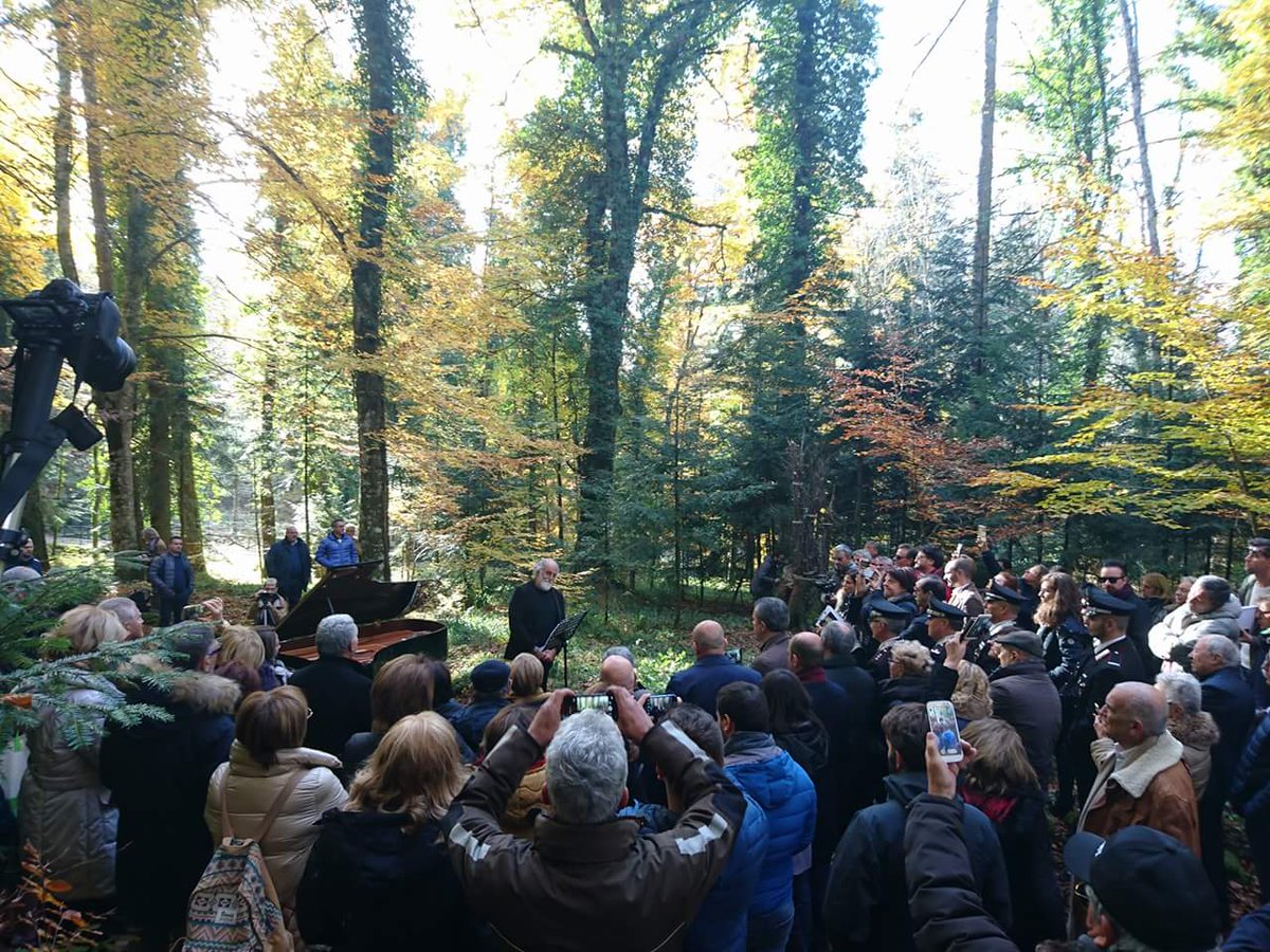 ParcoGargano's tweet photo. In #ForestaUmbra una stele che celebra i faggi @UNESCO. Anche la National Geographic studierà i nostri alberi secolari. @micheleemiliano https://t.co/ILB95uP0Cx