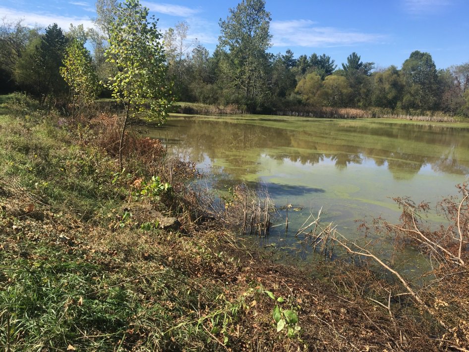OhioDivWildlife's tweet photo. Shoreline fishing access and opportunities are being improved all around the state! Check out the recent improvements in southwest Ohio: https://t.co/6fEpK8ag2M #fishohio #improvingaccess #fishingaccess #southwestohio https://t.co/wjBYlAYlfH