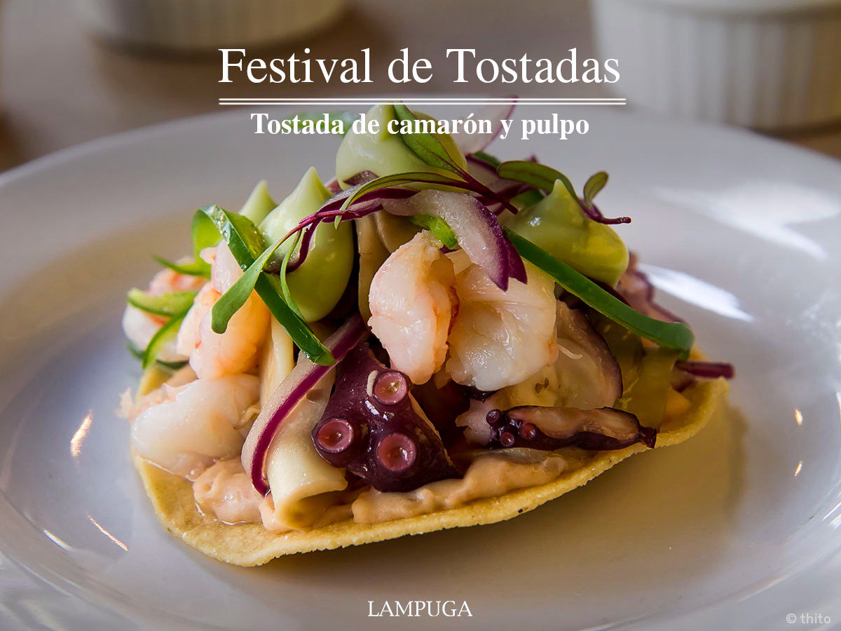 El #FestivalDeTostadas llego a LAMPUGA, tenemos deliciosas sugerencias esperando por ti.

Tostada de Camarón y Pulpo 
Con cebolla morada, chile cuaresmeño y champiñones a la mantequilla

¡No te lo puedes perder! 
#Condesa #Polanco #Roma