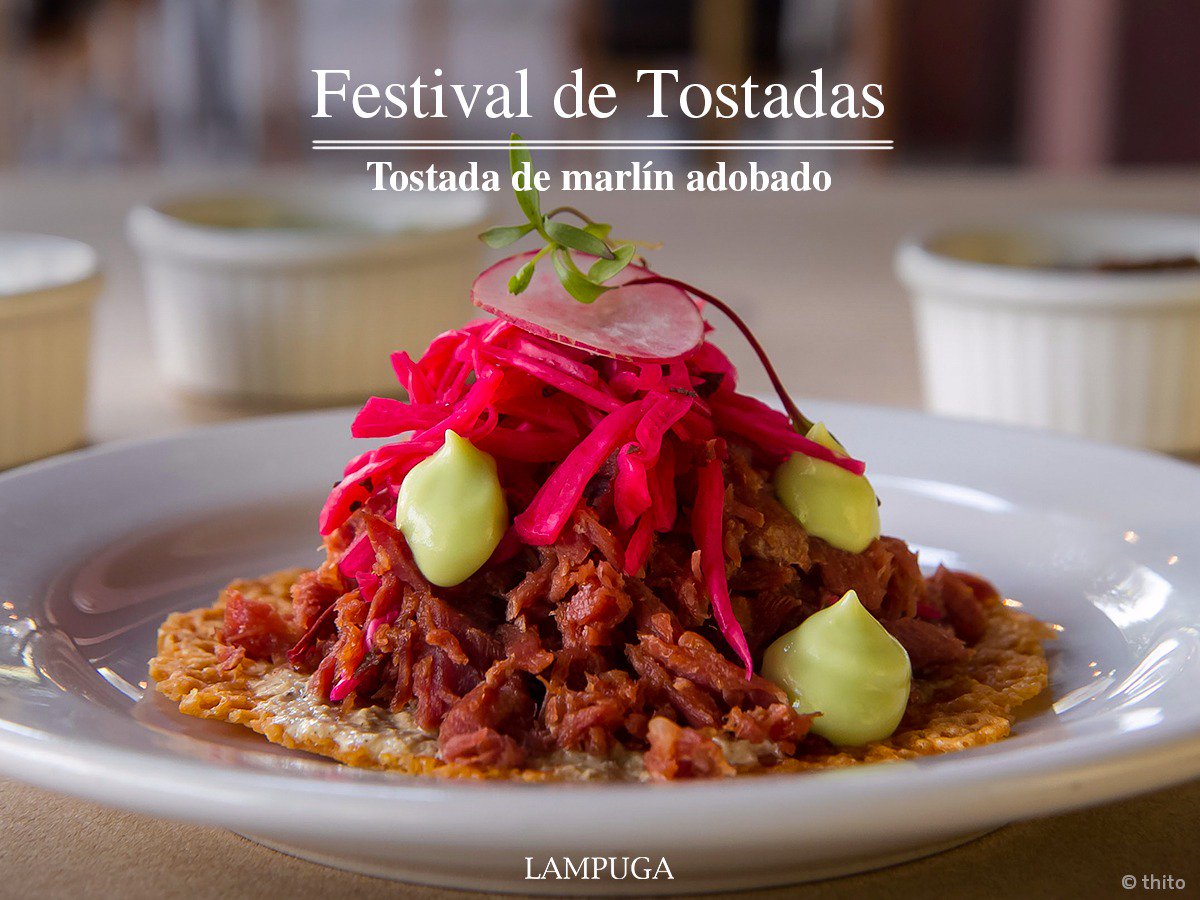 El #FestivalDeTostadas llego a LAMPUGA, tenemos deliciosas sugerencias esperando por ti.

COSTRA DE QUESO CON MARLIN ADOBADO

¡No te lo puedes perder! 
#Condesa #Polanco #Roma