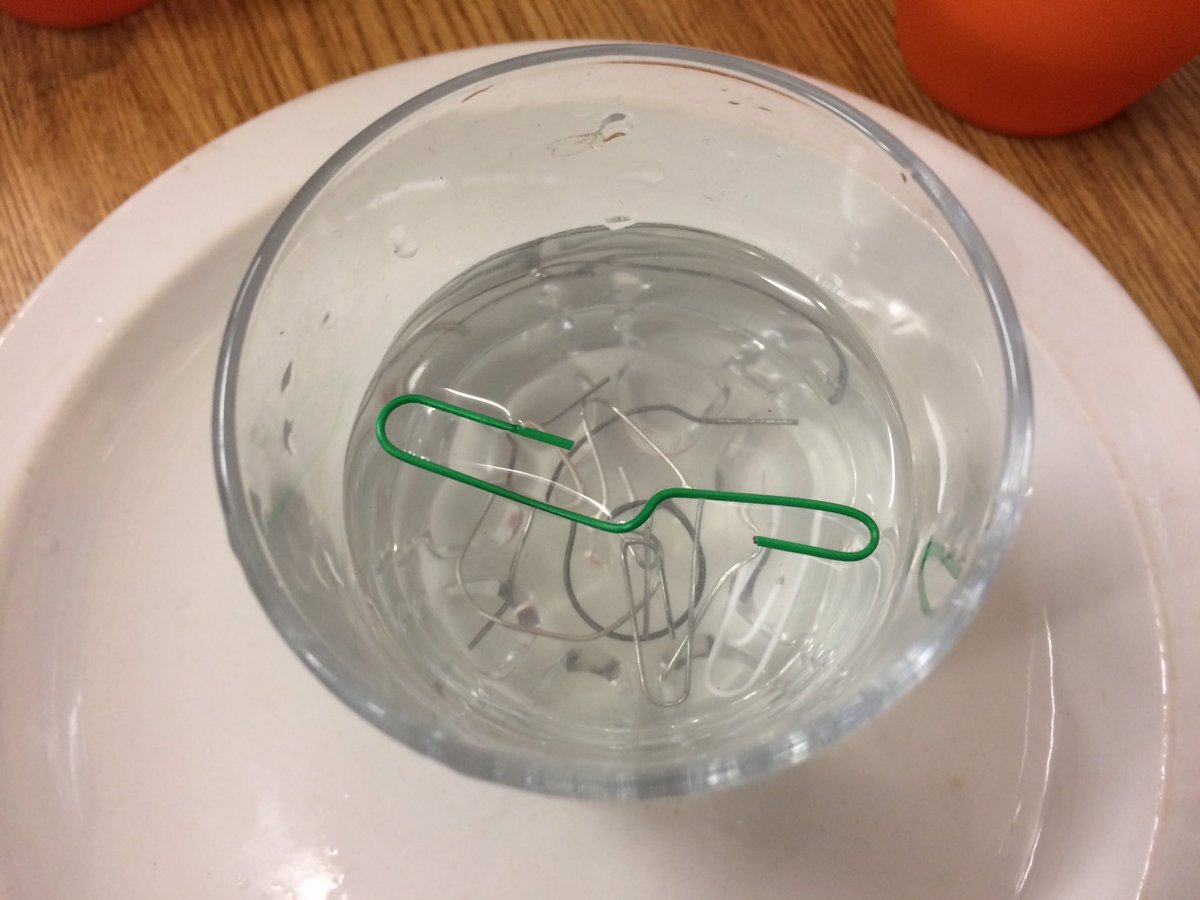 MrsBoyces_Class's tweet photo. Dan was the only one today who managed to float a paper clip. Well done! #SurfaceTension #ScienceWeek2017 https://t.co/MbgK08OvE3
