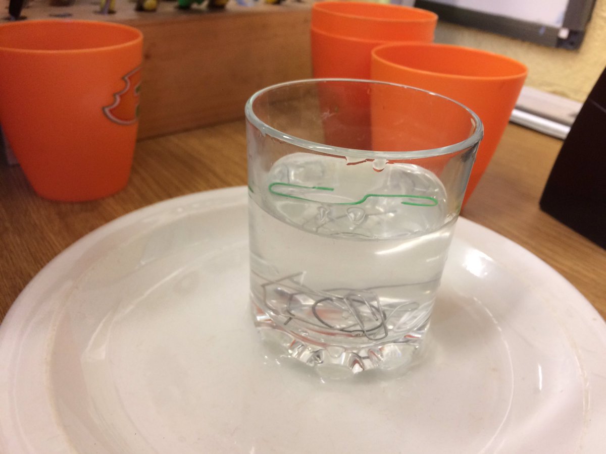 MrsBoyces_Class's tweet photo. Dan was the only one today who managed to float a paper clip. Well done! #SurfaceTension #ScienceWeek2017 https://t.co/MbgK08OvE3