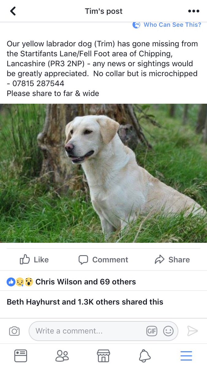 procterscheeses's tweet photo. Labrador dog stolen from Chipping - £2K cash reward for his safe return and repatriation...please retweet 🤞🤞 https://t.co/L664mq1ohl