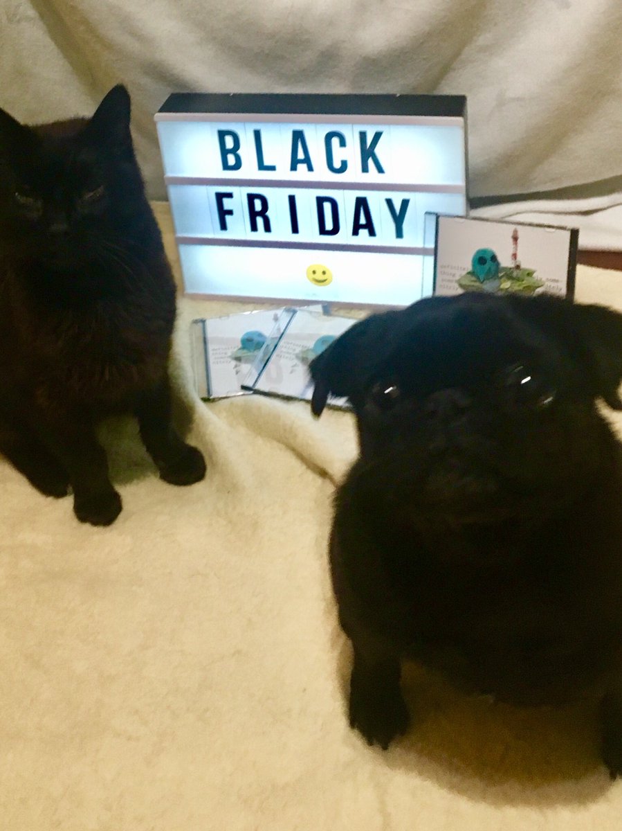 TheSnerit's tweet image. @tomshawcroft These 2 lucky animals have just snapped up the brilliant new album #definitelysomething 👍👍🎸