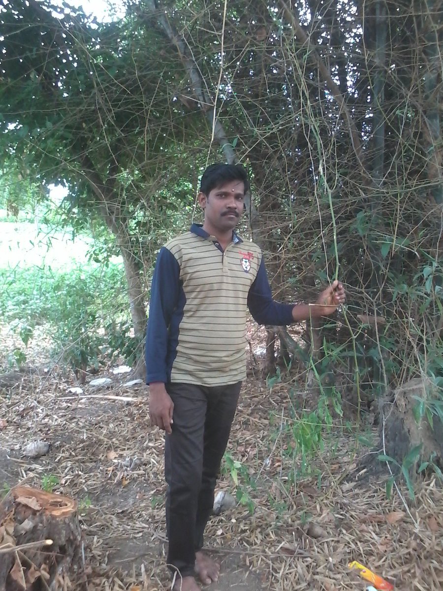 turnernarayanan's tweet photo. https://t.co/42jHdNyCxy