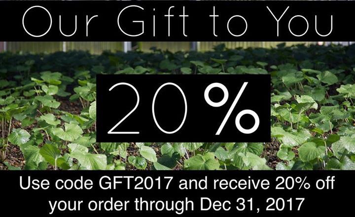 ORCoastWasabi's tweet photo. We Now Offer Gift Certificates! 

We have made it easier for you to share some Oregon Coast Wasabi love over the holidays.

We now offer TWO Gift Certificates - 

Garden - https://t.co/Im4R1lZdls

Culinary - https://t.co/n3A6coYjWR 

#Wasabi #OregonCoast #Oregon #FreshHotReal https://t.co/7Le9sSPpm5