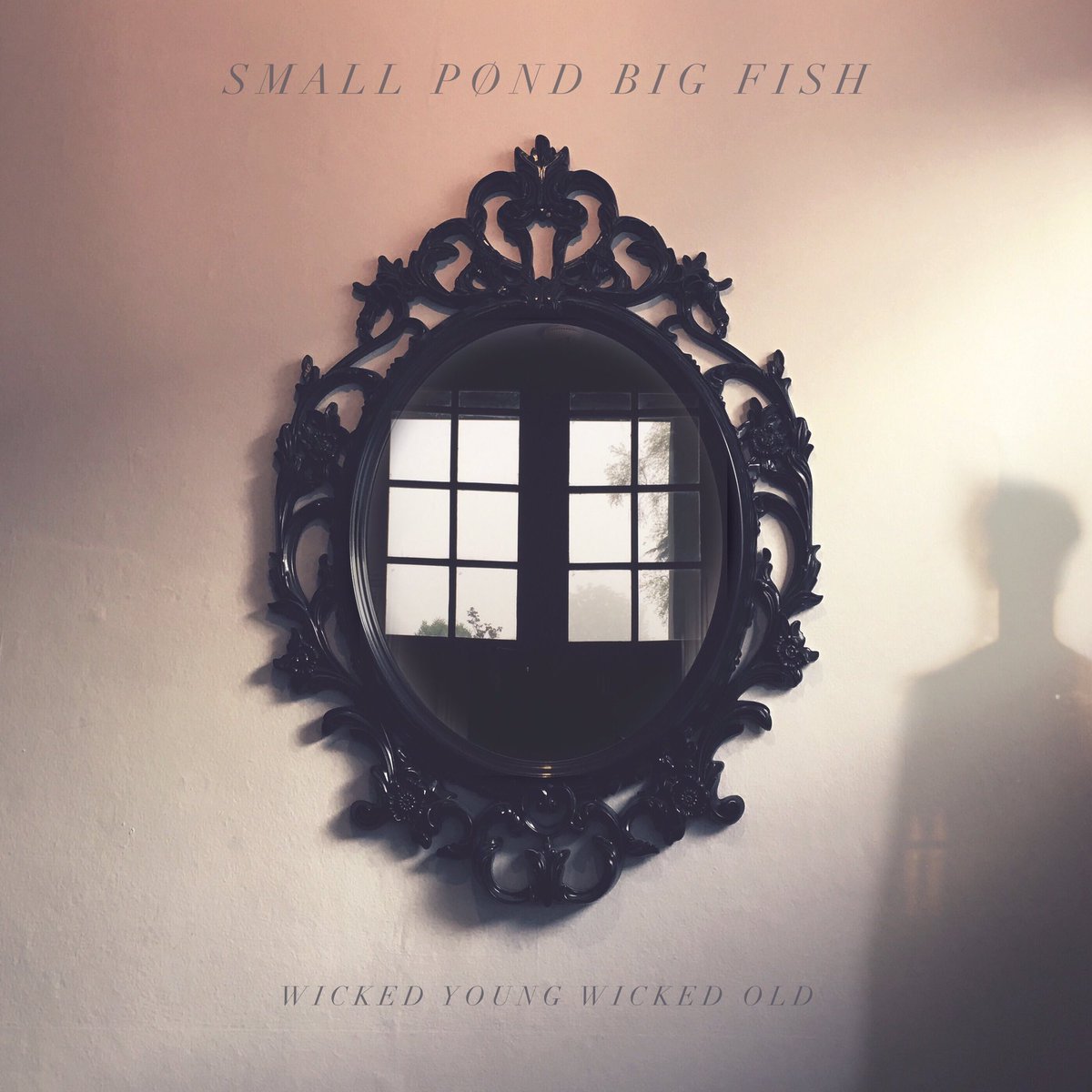 Small Pond Big Fish tweet media