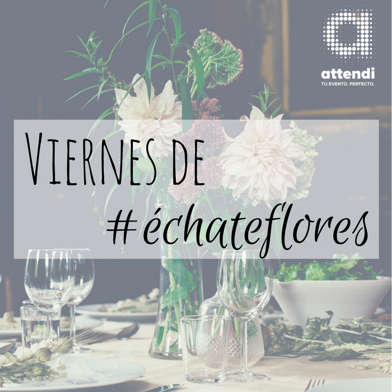 AttendiMX's tweet photo. ¡Ya es #viernes! 
En #Attendi es viernes de #echateflores; cuéntanos cuál fue tu mejor logro esta semana y celebremos juntos. https://t.co/jZLTQx6R3H