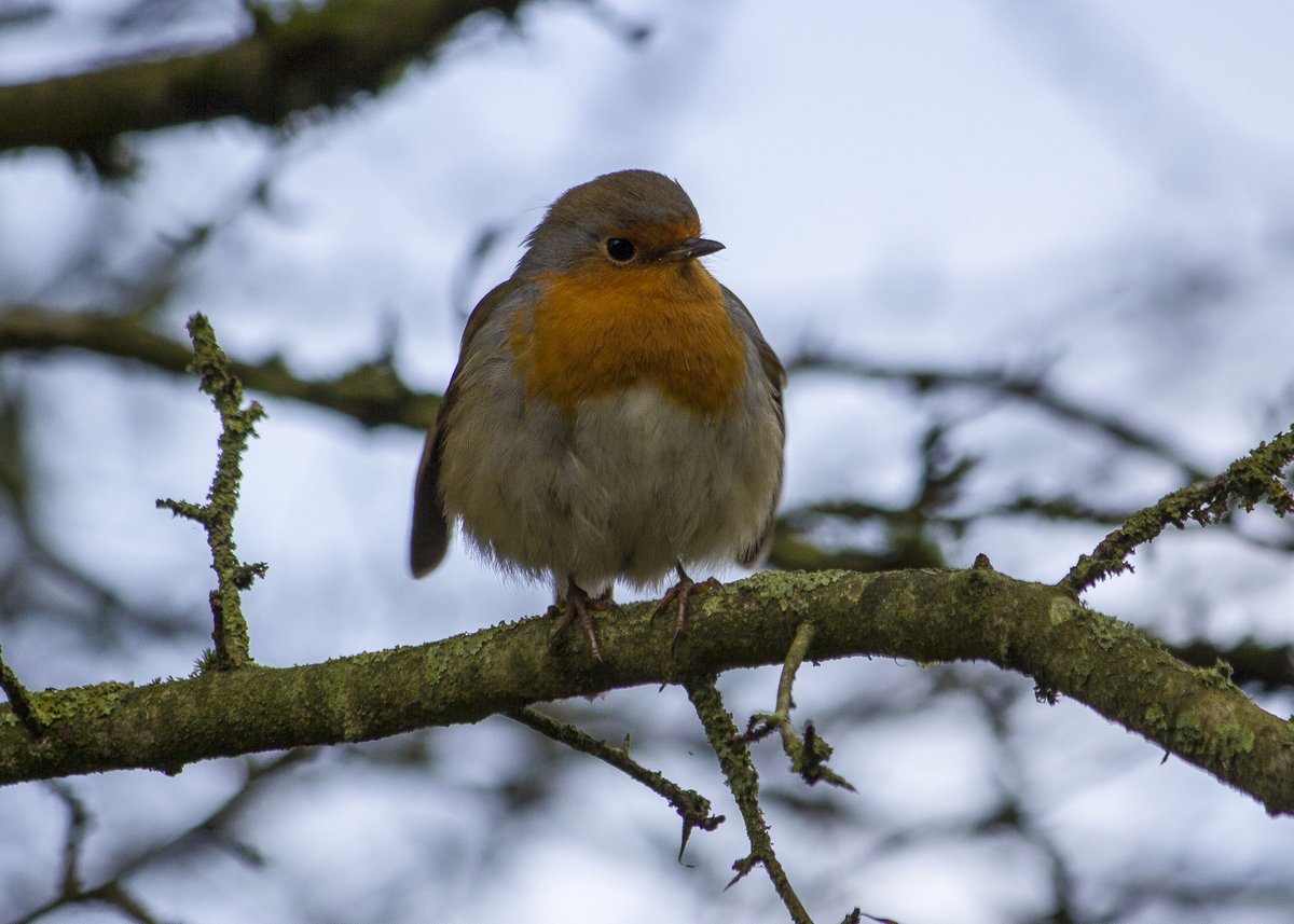 zoostationuk's tweet photo. Nice but cold time down at #antonlakes @AndoverUK https://t.co/mmOPz9zYh3