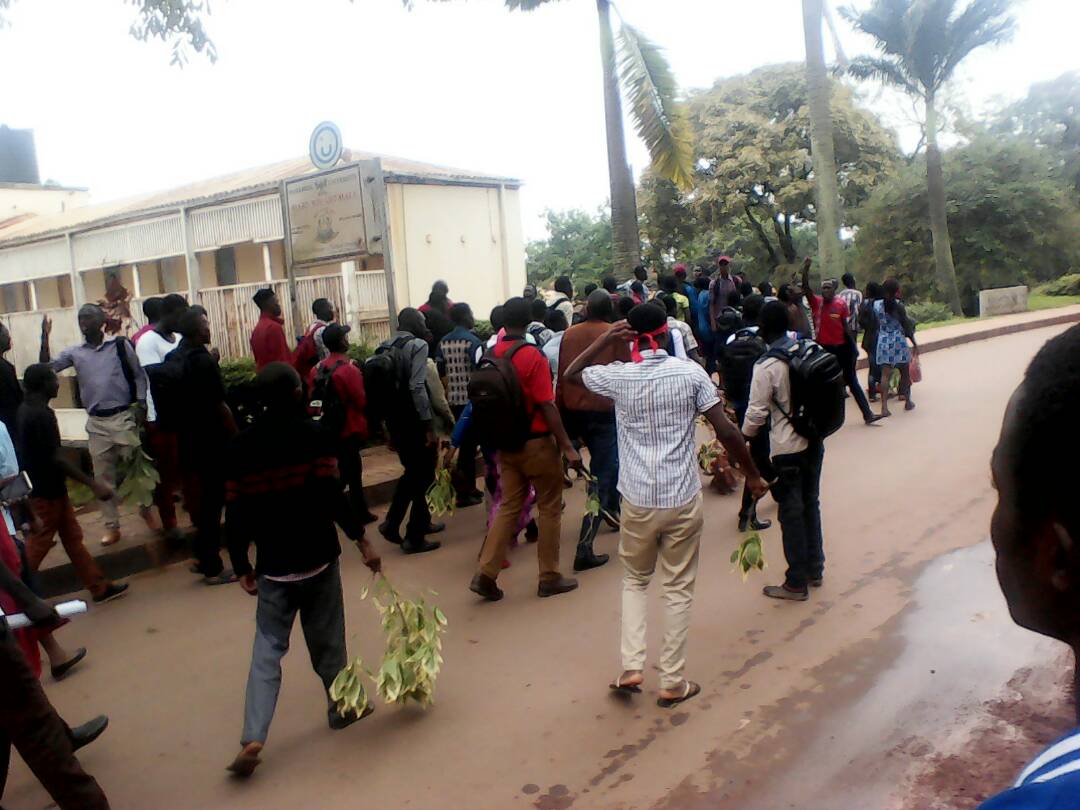 jonahkirabo's tweet photo. Year One Education students at @MakerereU strike over tough requirements in accessing their exam permits. The university requires them to present MUK ID's yet majority of these have not yet acquired theirs. #BeeUpdates #Campusbee @campusbeeug https://t.co/CaOyZQghLM