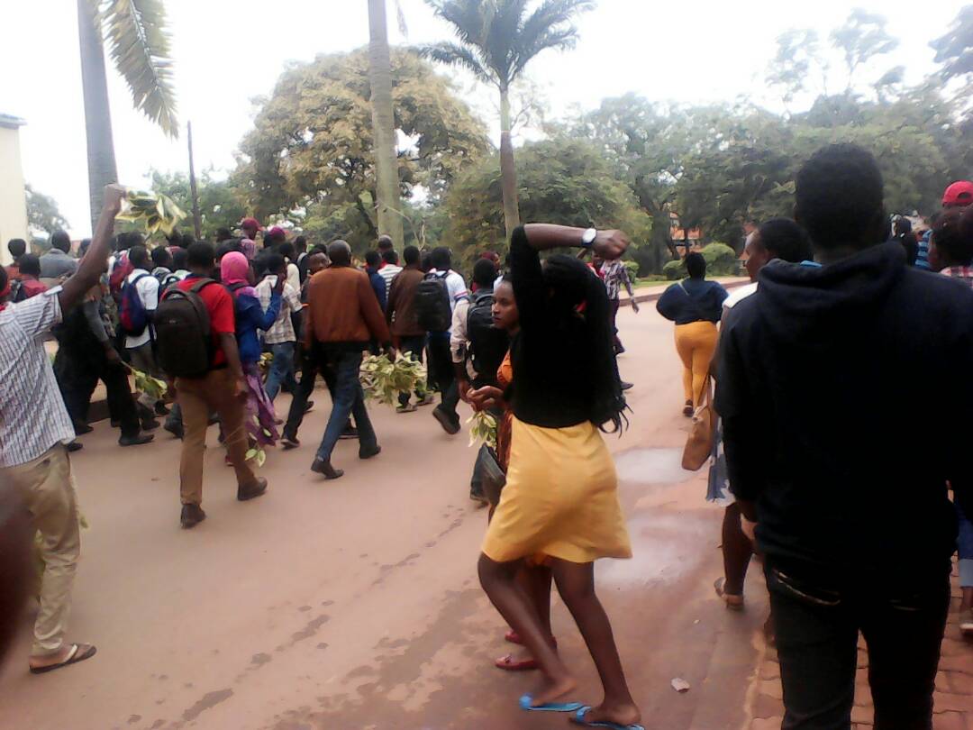 jonahkirabo's tweet photo. Year One Education students at @MakerereU strike over tough requirements in accessing their exam permits. The university requires them to present MUK ID's yet majority of these have not yet acquired theirs. #BeeUpdates #Campusbee @campusbeeug https://t.co/CaOyZQghLM