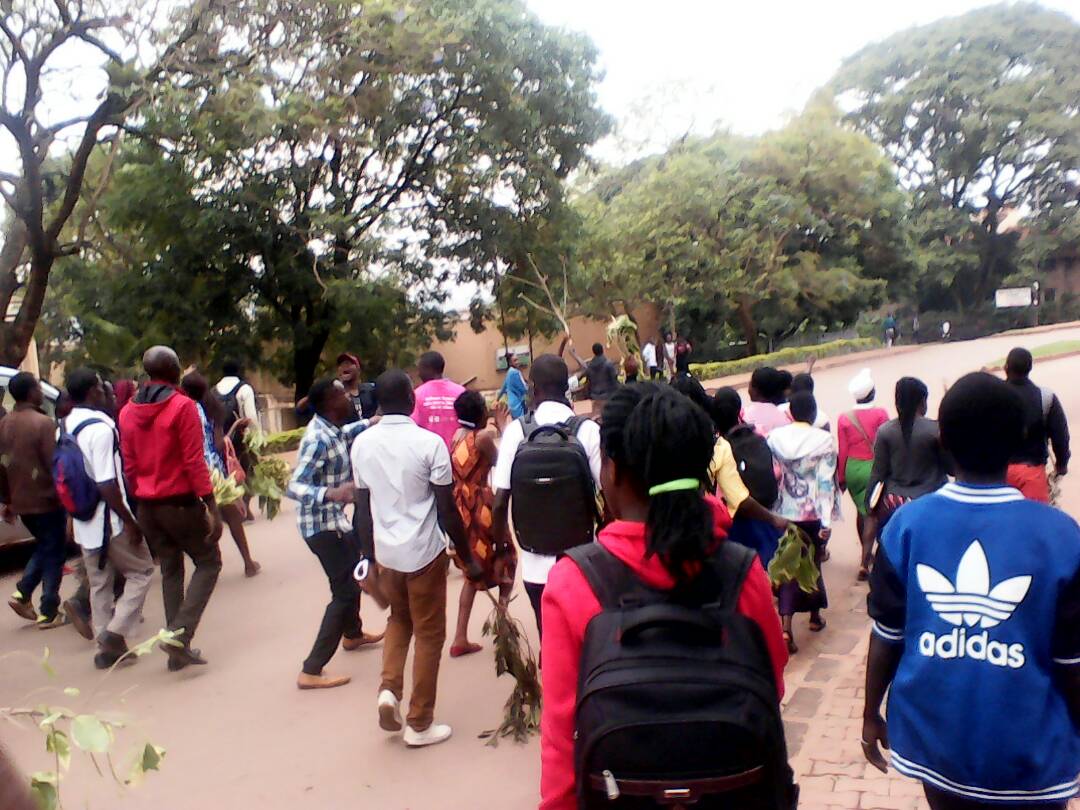 jonahkirabo's tweet photo. Year One Education students at @MakerereU strike over tough requirements in accessing their exam permits. The university requires them to present MUK ID's yet majority of these have not yet acquired theirs. #BeeUpdates #Campusbee @campusbeeug https://t.co/CaOyZQghLM
