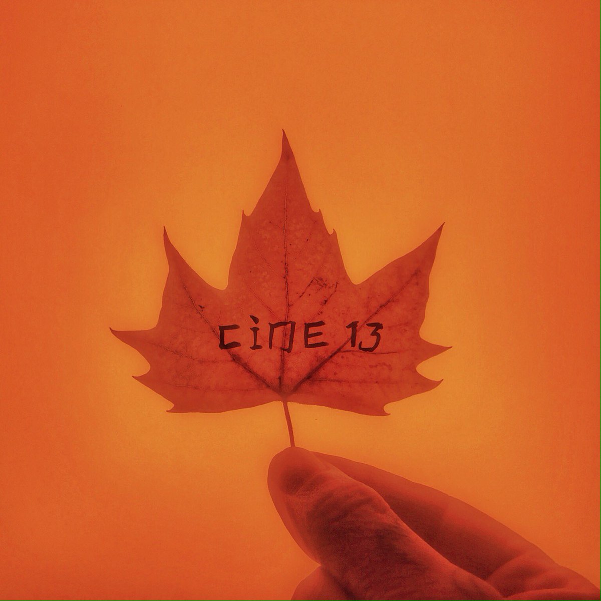 CHENG RAN &amp; LE CINÉ XIII
A proposal by LA NON-MAISON Paris 
→ Saturday December 16th:
✩ 5.15-5.45pm
✩ 5.45-6.15pm
--
Cheng Ran, The day as the leaf (the night), photograph, 2017. Courtesy The Artist &amp; LA NON-MAISON
--
#chengran #cine13 
#videoart #nouvellevague #claudelelouch