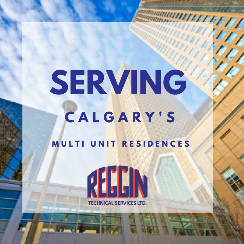 RegginTechnical's tweet photo. We are proud to service Calgary by providing outstanding services. Thank you to Lenard Douglas Reggin for creating this wonderful company during the great depression and turning it into a huge success!

#Since1931 #Plumbing #Electrical #HVAC #Sheetmetal #YYCBusiness #ourstory https://t.co/PU7UEmWo5A