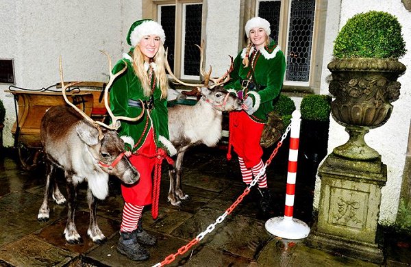JingleJog's tweet photo. Two of Santa's helpers will be joining us at @MediaCityUK on Sunday December 3rd! We're really excited to have real life #Reindeer at this years Jingle Bell Jog! #ChristmasIsComing #FunRun #MediaCityUK #Salford https://t.co/YTYHOWSJtd