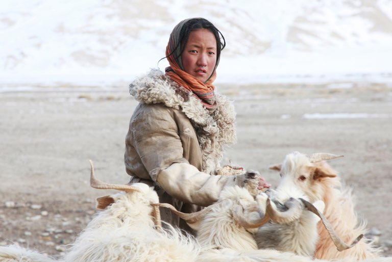MollieJHughes's tweet photo. An inspiring and insightful interview w/ @catvphotography 🙌 Cat has lived amongst and photographed many of the worlds last remaining nomadic communities. Cat won't shout about it, but she is the first and only female travel photographer of the year!! 📸https://t.co/qcd8BYTCcN https://t.co/UzWBmnxMLQ