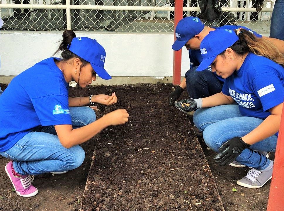 colectivotraso's tweet photo. #UnidosLuchamos #UnidosGanamos Con voluntarios de #Lamitech realizamos adecuación de la huerta del CDI Jardín Social, Ciénaga de la Virgen, en el barrio El Líbano. #PrimeraInfancia #ViveUnido #SomosUnitedWay @UnitedWay https://t.co/Gvj5rv2cpl