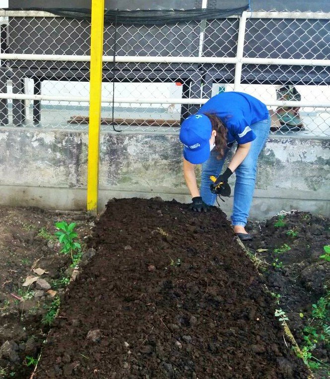 colectivotraso's tweet photo. #UnidosLuchamos #UnidosGanamos Con voluntarios de #Lamitech realizamos adecuación de la huerta del CDI Jardín Social, Ciénaga de la Virgen, en el barrio El Líbano. #PrimeraInfancia #ViveUnido #SomosUnitedWay @UnitedWay https://t.co/Gvj5rv2cpl