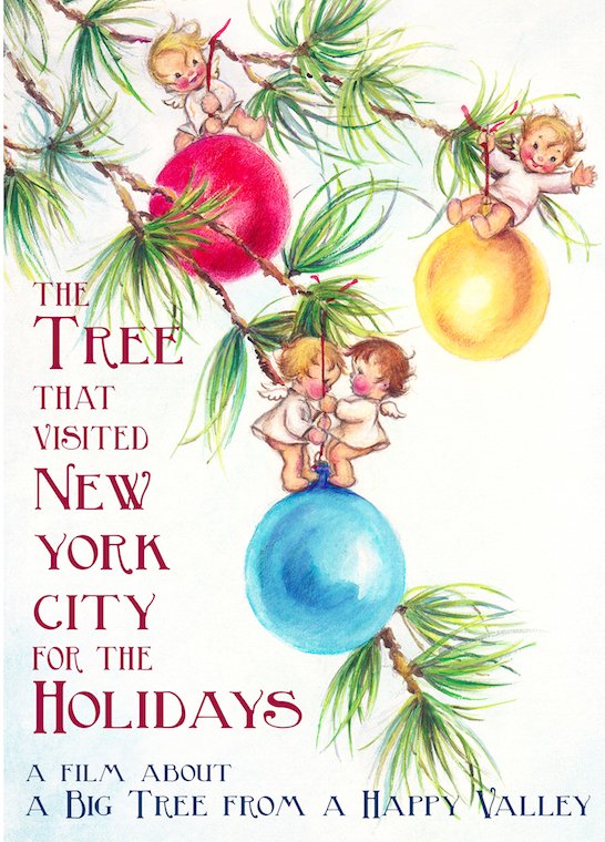 Every year, one tree stands above all others. This year, it comes from the heart of Pennsylvania. mailchi.mp/bluewhitetv/ha…