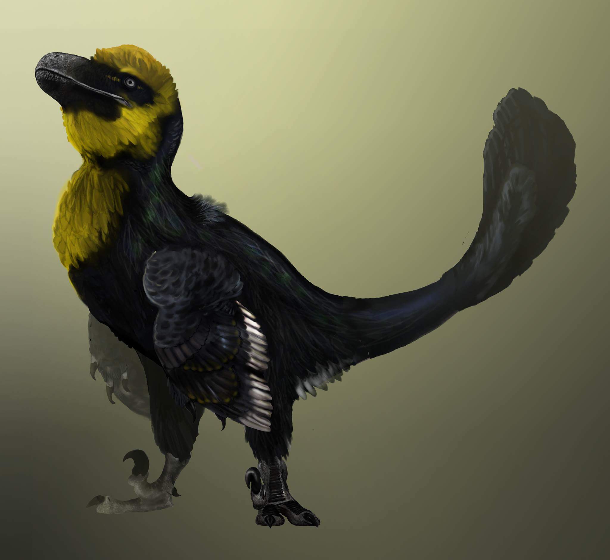 utahraptor with feathers