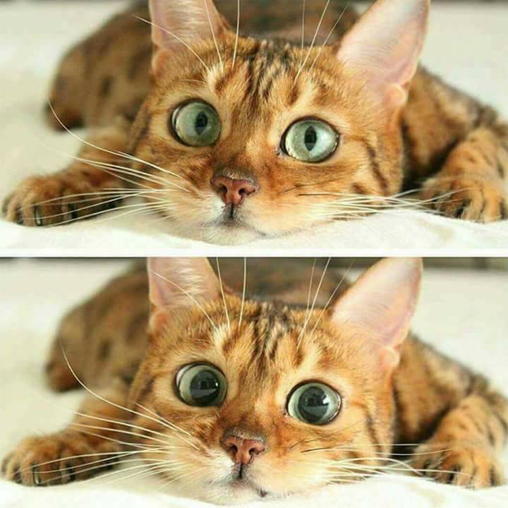 looking at black friday sales like