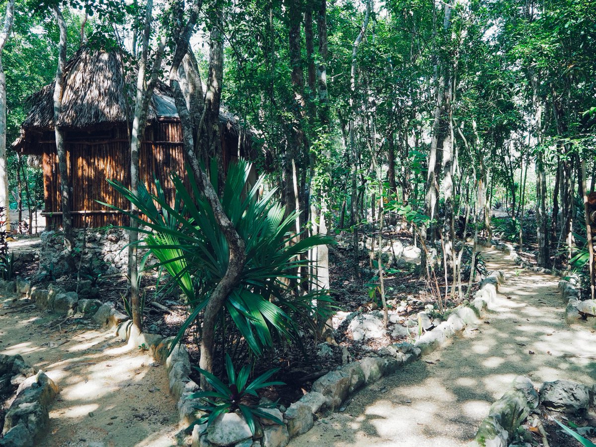 Fiigee_'s tweet photo. Bienvenue à Quentin ! 💁♂️ Il rejoint l'aventure #FIIGEE et vous propose de vivre une expérience unique au coeur de la jungle mexicaine près de Tulum entre #tequila et #mezcal 🥥 dans des palpas maya 🌴😍 #VoyageDuVendredi https://t.co/g1ikh2IHtT
