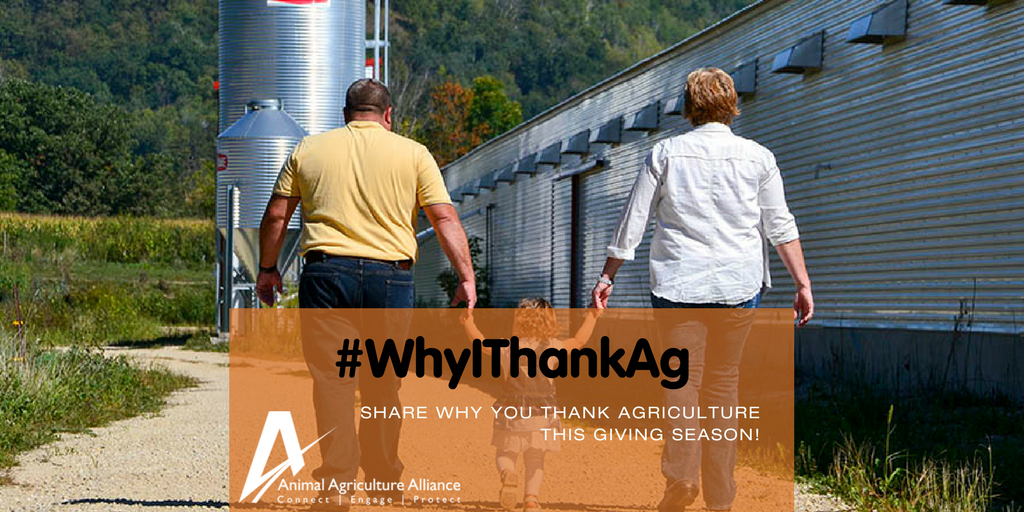 animalag's tweet photo. Thanks to all the farm families who work hard to produce food for everyone! #WhyIThankAg https://t.co/hOpxaaBMpj