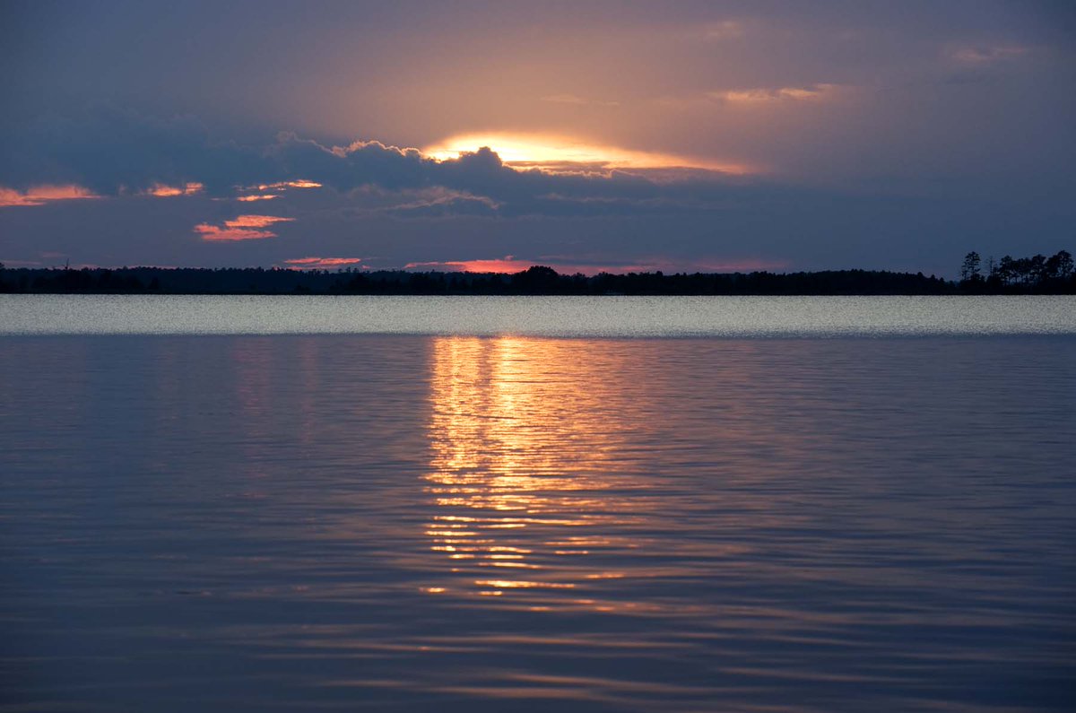 santeecooper's tweet photo. Follow us on Instagram photos and video of our everyday adventures in beautiful #SouthCarolina! #WeAreSC #LifeInSC https://t.co/x8WHgfOTLr https://t.co/PmKigpV6nu