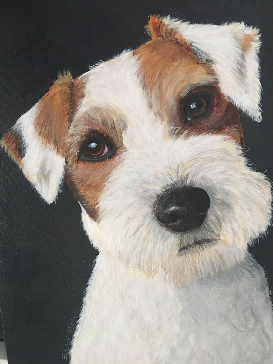 4pawsart's tweet image. ON THE EASEL - "SCOOBY" PARSON JACK RUSSELL -COMPLETED!  To commission your own Pet Portrait Contact Elaine 4PawsArt.com 07720276780 @NEFollowers @PetNPony @sunderland_hour @doggieplaces @Alfredkingston1 @HSdirectSA @JackRussellPic @durhamhour @neconnected @Mucky_Mutz