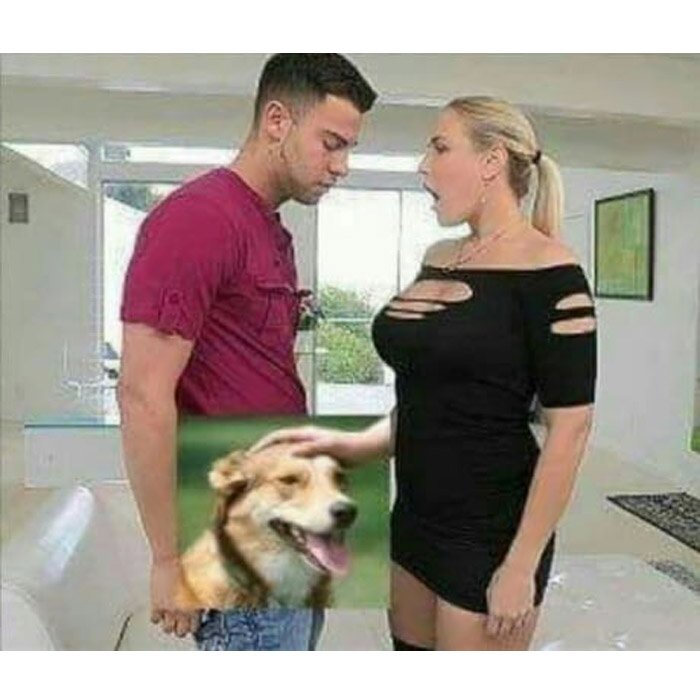 yisucrist's tweet photo. cada vez k veo a un perro portándose bien https://t.co/LnnY1Iowbt