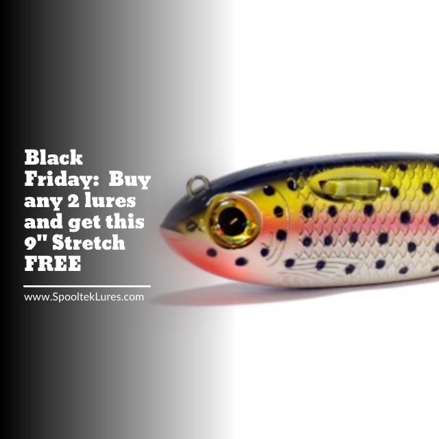 SpoolTekLures's tweet photo. Get a FREE 9" Stretch Rainbow Trounce with the purchase of any 2 lures from https://t.co/SrJLLciaur.  Plus free shipping.  Offer expires 11/27. #spooltek #spoolteklures https://t.co/xBvHfXY0s7