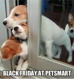 Too cute not to share!  Hope you're surviving your Black Friday shopping!  #blackfridayshopping