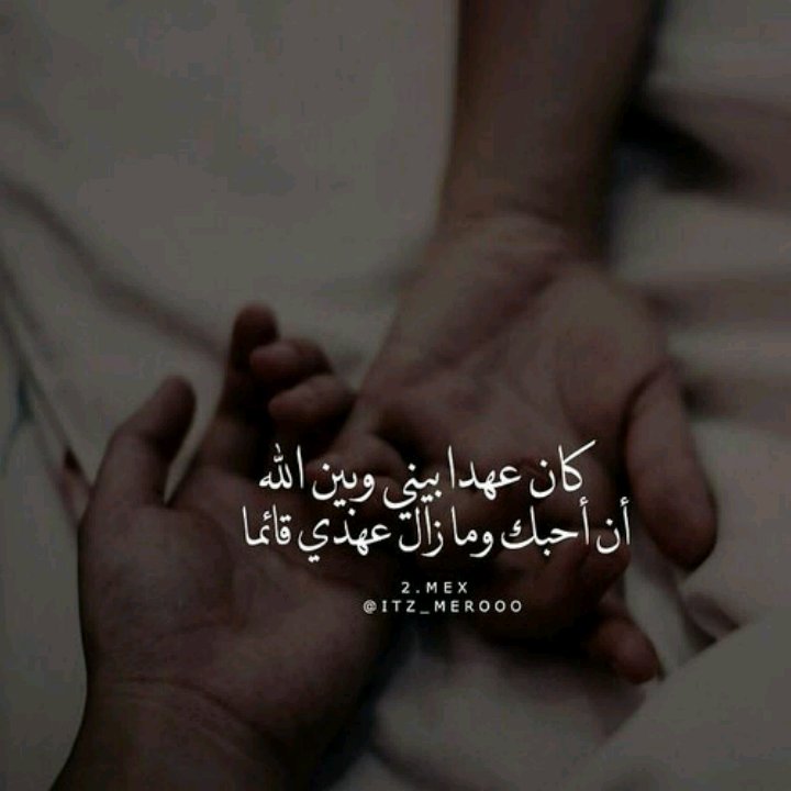 mohamed fahkre zaki (@safina201012) on Twitter photo 