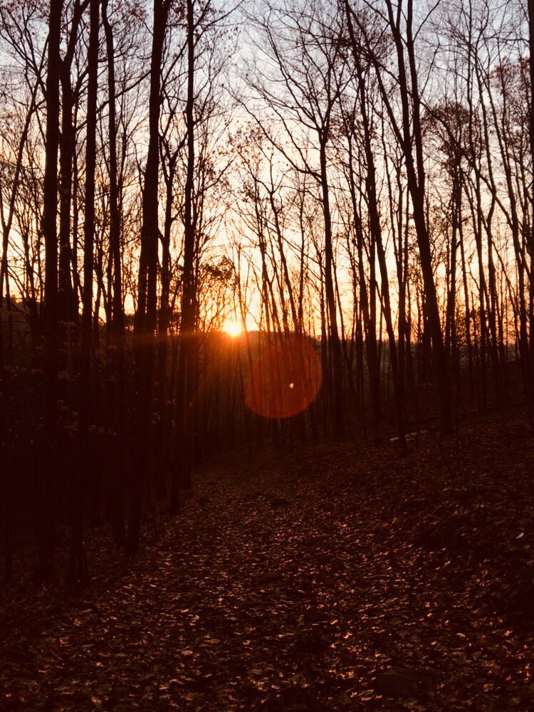 CampingStranger's tweet photo. This morning, a group of strangers went chasing sunrises in an attempt to #optoutside - beautiful people, beautiful views and goodtimes https://t.co/4hYZsF3ktI