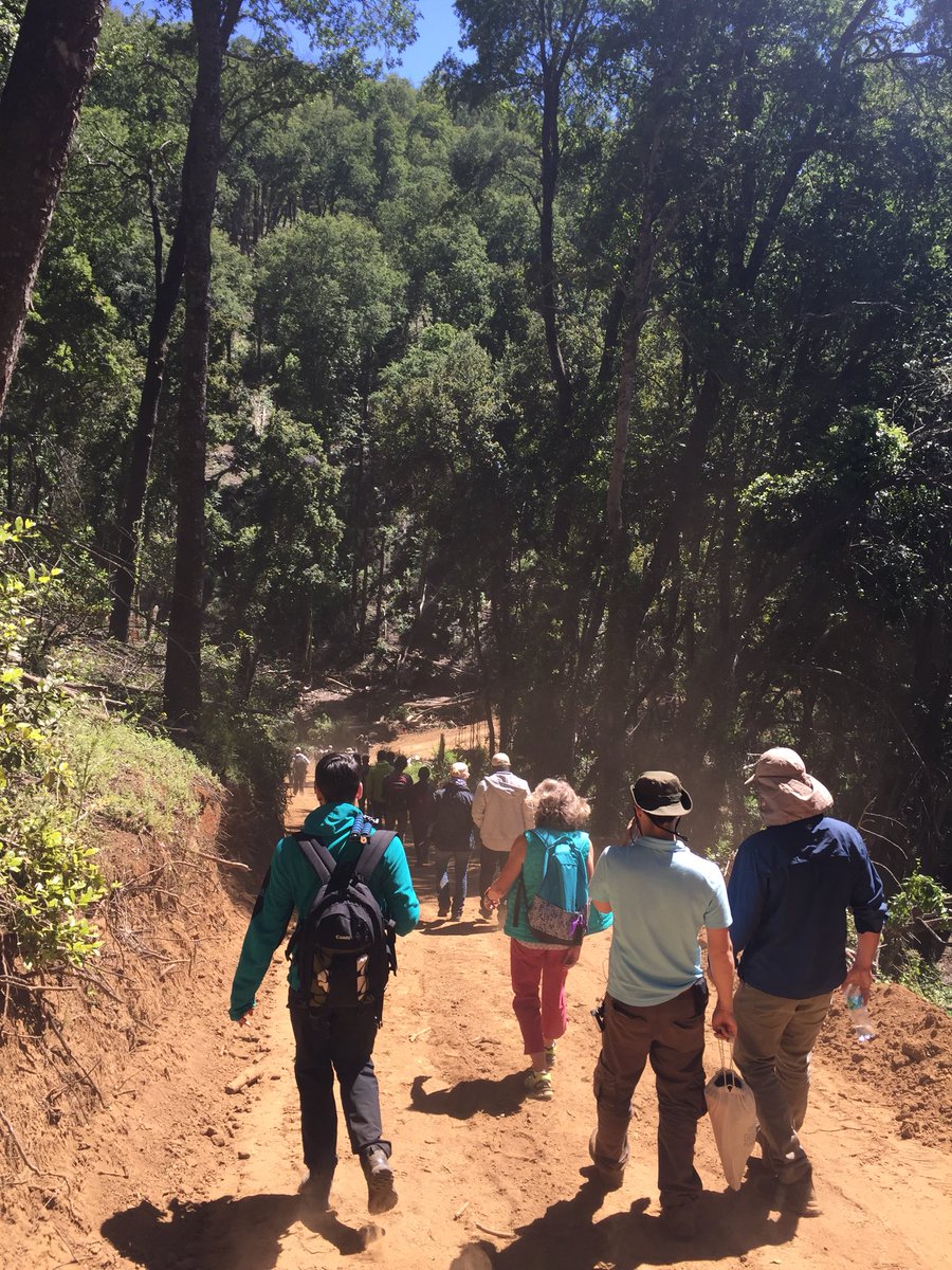 andyheald's tweet photo. This morning’s field trip was to a restoration site following the 2012 fire. How best to restore native #forests & who should pay? #NGP2017 https://t.co/R5BFi8RmNY