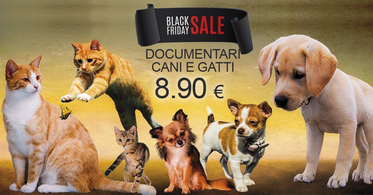 VideoRunshop's tweet photo. Se hai un #cane o un #gatto? Non perderti i #documentari su https://t.co/2m6KJV4oe3 #BlackFriday @ilovecaniegatti @CanieGattiPetS1  @CaniGatti1 https://t.co/rjgR2dGd7a