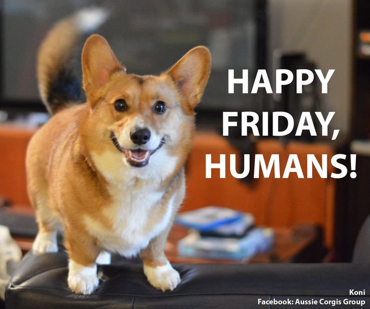 CollWrksYukon's tweet photo. Happy Friday! https://t.co/g3sYsJh0r4 https://t.co/icrWUlrwyD