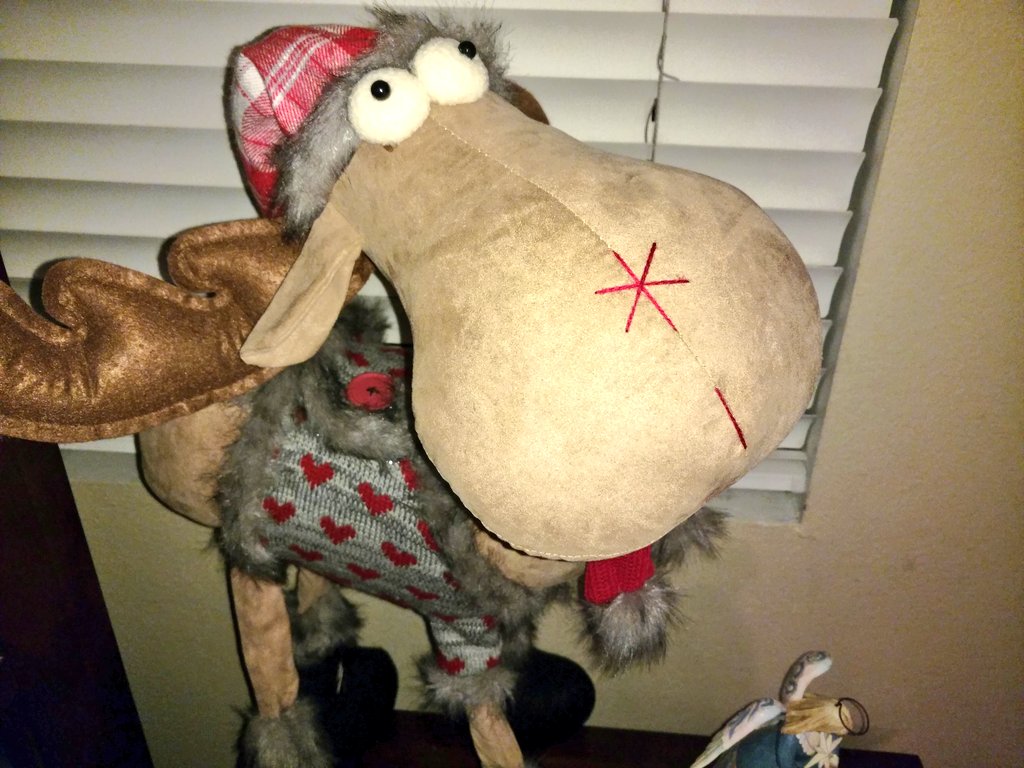 MooseyGeek's tweet image. Good morning #MooseyNation and everyone. After #Thanksgiving, we got home and out the #Christmas tree up with decorations. And the moose is back.