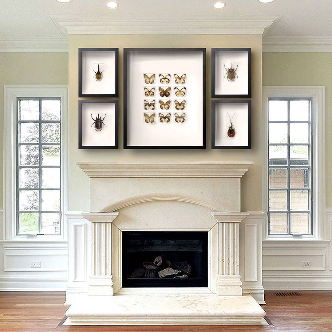 GalleryAmazing's tweet photo. Stunning grouping above the fireplace for the holidays
On view at @galleryamazing December 5th - March 31, 2018
#biophilia #christophermarley #artweek #artopening #artbasel #vernissage  #galleryofamazingthings #biophiliaexhibit #art #nature #science
https://t.co/b1qPPhDvVv https://t.co/WTtD95lx1U