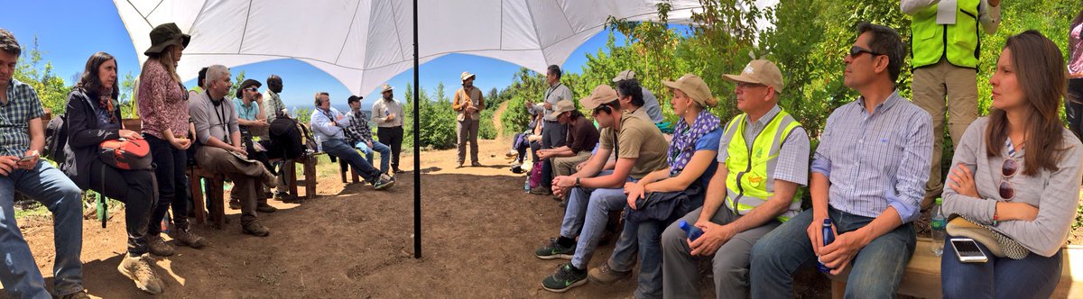 andyheald's tweet photo. Recurring discussion points - land sharing vs land sparing, and what does landscape planning mean & how can we do it #NGP2017 🌲🌳🔥 https://t.co/knOwgNt2BA