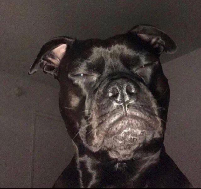 Watch 𝔇𝔞 𝔡𝔬𝔫 🥷🏾🍃's leaked NSFW photo on TwXstars