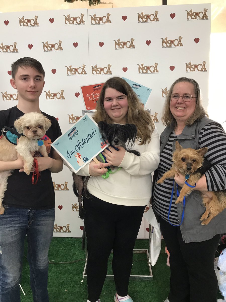 NevadaSPCA's tweet image. Elvis has left the building!!! Congrats buddy!!! #Zappos #Pawlidaz #zapposforpets