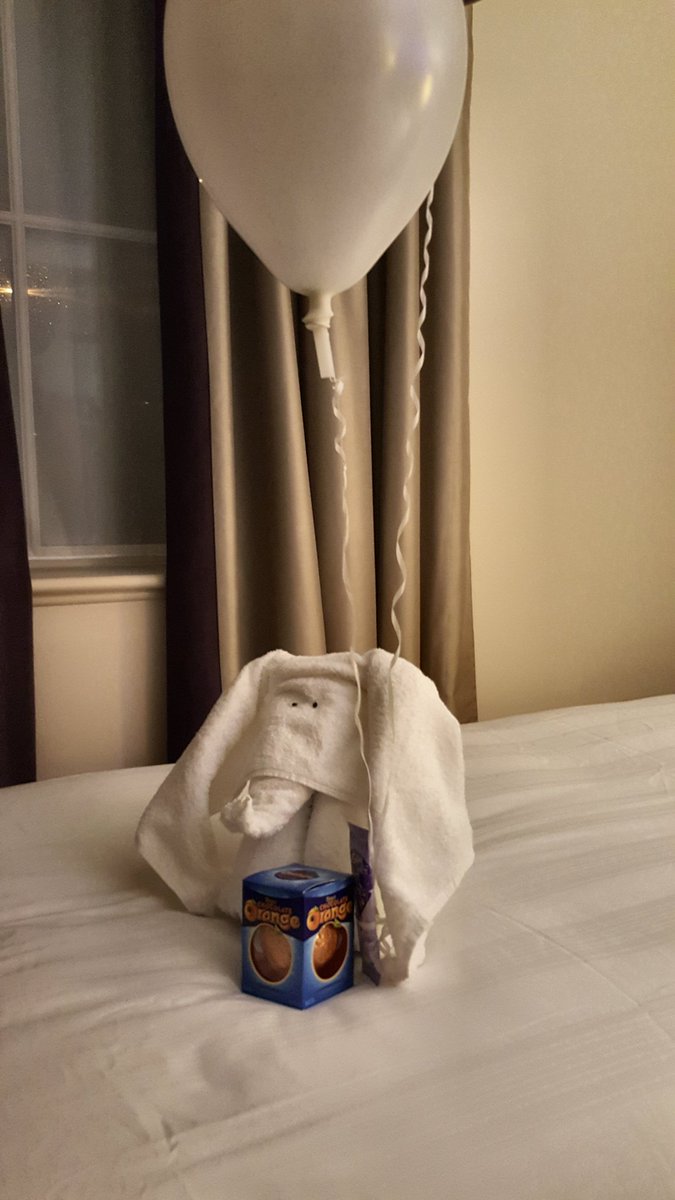 After driving through snow at Keswick, to get to the brilliant Premier Inn Cockermouth, nothing says "Welcome" better than a towel elephant holding a chocolate orange!