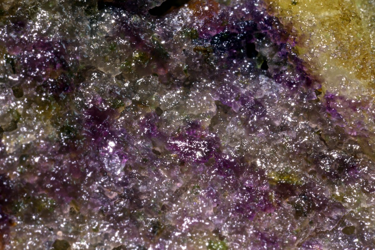 schwagged's tweet photo. star fields forever
not lost and found inside me
a hole's deep blackness

#gazillion #stars in the #universe, #thousands of #trichomes and #sugar in this #blueberry #oatmeal #cannabis #cookie #crisp #legalize my #medicine you #fools https://t.co/WVD5e26Dpy
