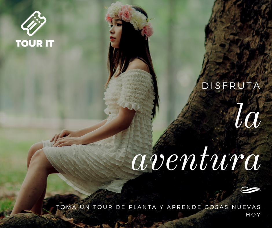 TourIT_MX's tweet photo. Disfruta la #aventura que es la vida, aprende algo nuevo hoy. Toma un tour a la planta de tu marca favorita (normalmente son gratis) e infórmate sobre cómo se hace eso que tanto te encanta. https://t.co/hFLjlniUvZ