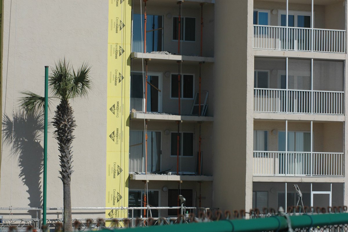 Holly Day tweet media