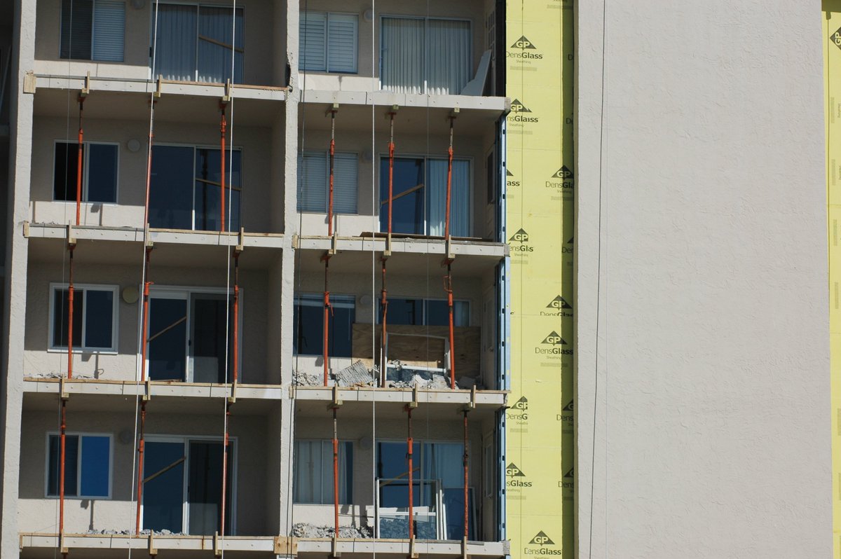 Holly Day tweet media